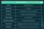 DeepSeek Coder V2 Model Information
